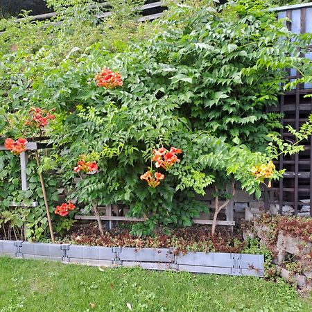 Ferienwohnung Brenner Bruck an der Mur Exterior foto