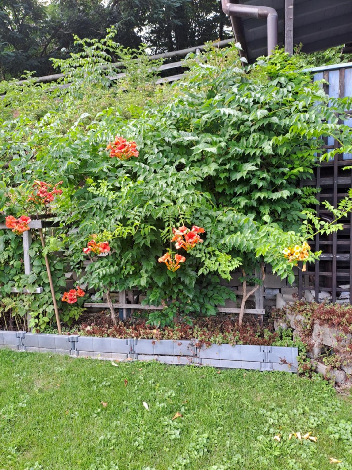 Ferienwohnung Brenner Bruck an der Mur Exterior foto